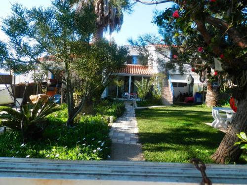 Aljezur Casa | Casa das Palmeiras