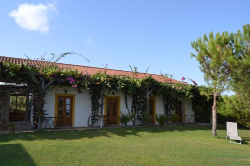 Pedra Arrancada Casa | Casa de Campo Vale do Asno
