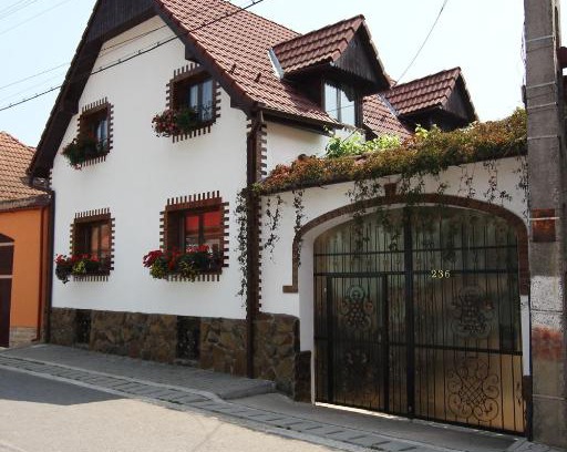 Rau Sadului Casa | Casa de vacanta Vidrighin