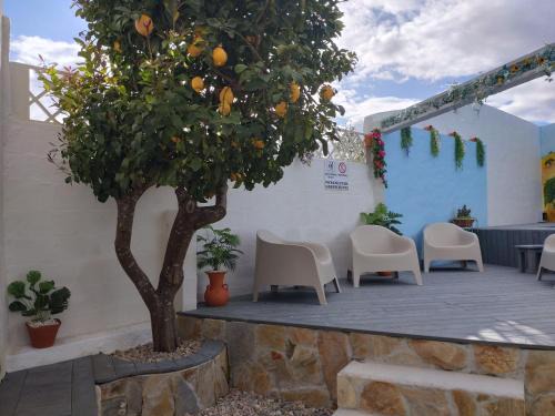 Reguengos de Monsaraz Apartamento | Casa do Pão