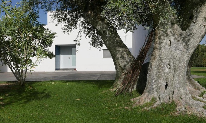 Alvito Casa | Casa do Vale da Terra Negra