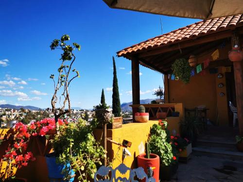 Oaxaca Casa | Casa Donaji