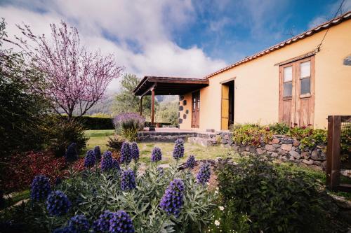 Tijarafe Cabina | Casa Elena