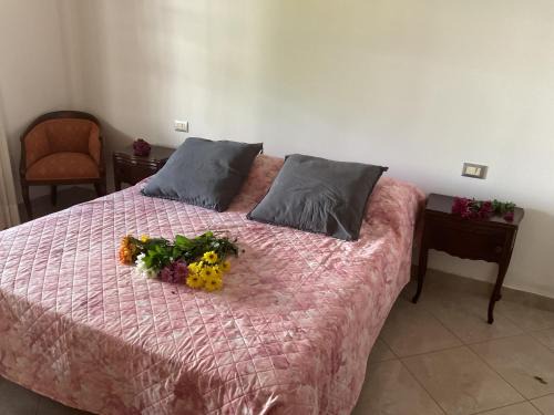 Pisa Apartamento | Casa Elena