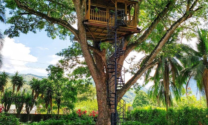 Utica Cabina | Casa en el Arbol