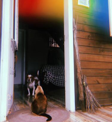 Florianopolis Casa | Casa Floripanah