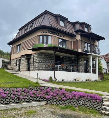 Borsec Casa | Casa Forrás