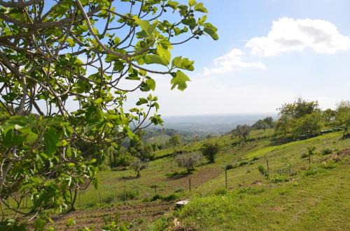 Poggio Mirteto Casa | Casa Franceschini
