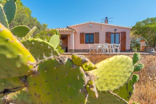 Porto Istana Casa | casa istana