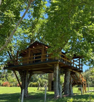Restinga Chalet De Esquí | Casa na Árvore - Radosti Experiência