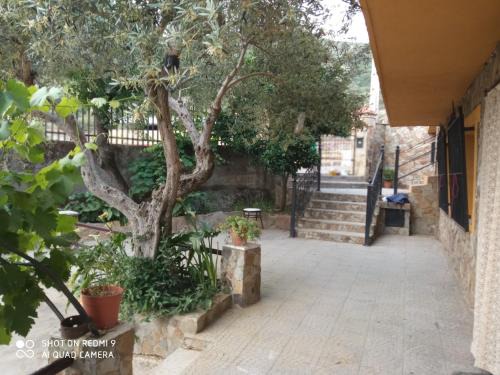 Valdelamatanza Casa | Casa rural Victoria