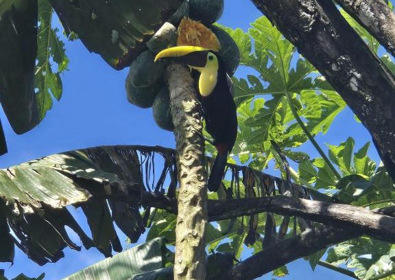 Palma Casa | Casa Tucan 2bdr beach house AC BBQ Playa Blanca