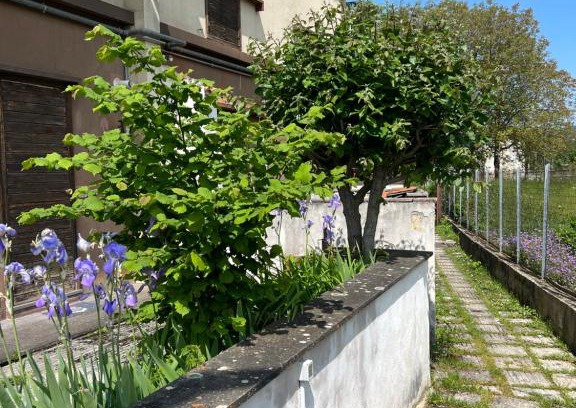 Roccaraso Apartamento | Casa Vacanza Regina