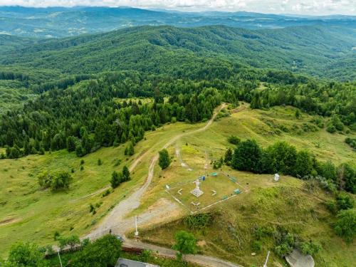 Cocorastii Mislii Casa | Casa Venus