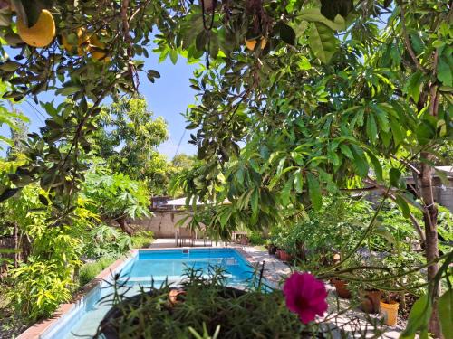 San José Vista Hermosa Casa | Casa Vista Hermosa