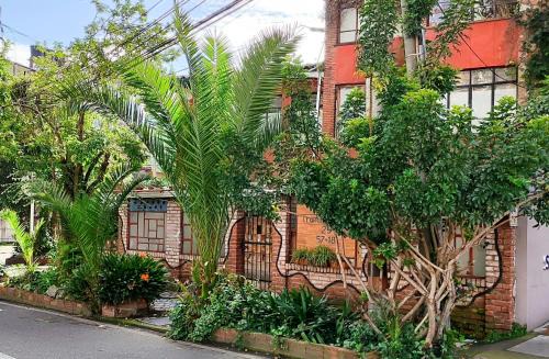 Campin Apartamento | Casa Viva Apartaestudio Terraza