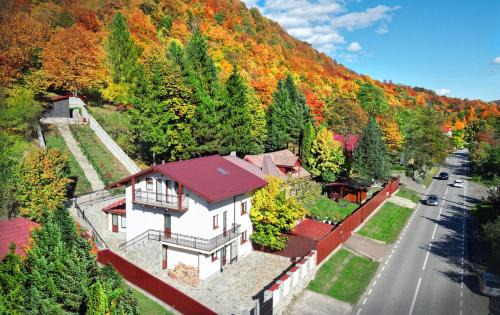 Slanic-Moldova Villa | Casa Zânelor Slănic Moldova