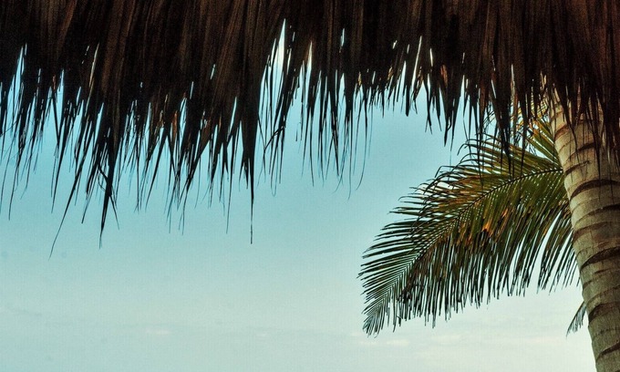 Dibulla Cabina | Casalina Ecolodge