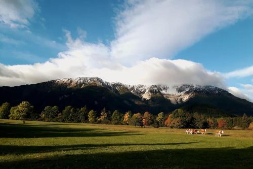 Puchberg Am Schneeberg Casa | CasaLucía - hometel