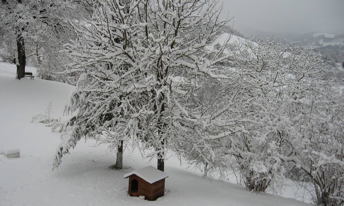 Cagli Casa | Fiesta de Casolare - Año nuevo 20-25 personas en la región de Marche en Acqualagna