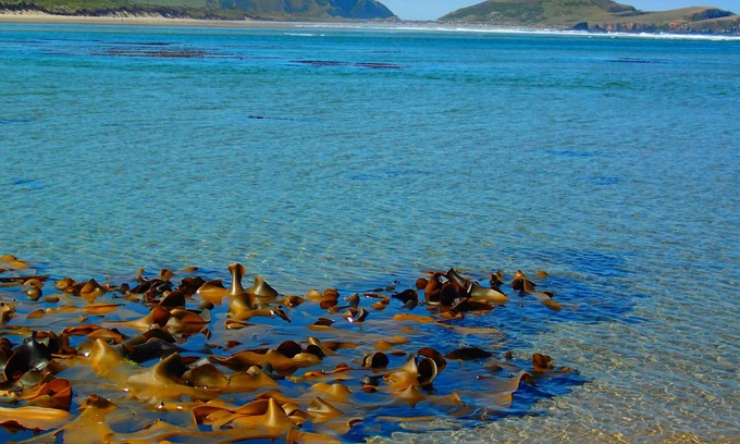 New Haven Otro | Catlins Newhaven Holiday Park