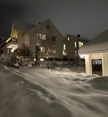 Tromso Apartamento | Central Apartment in Down Town Aurora villa