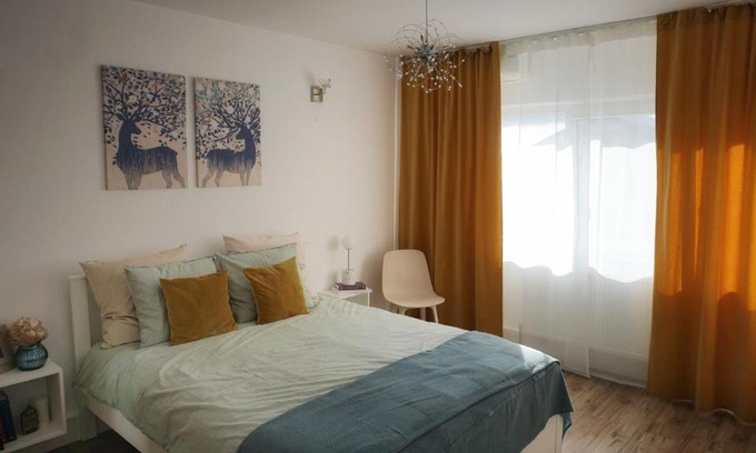 Calimanesti Apartamento | Central View Calimanesti