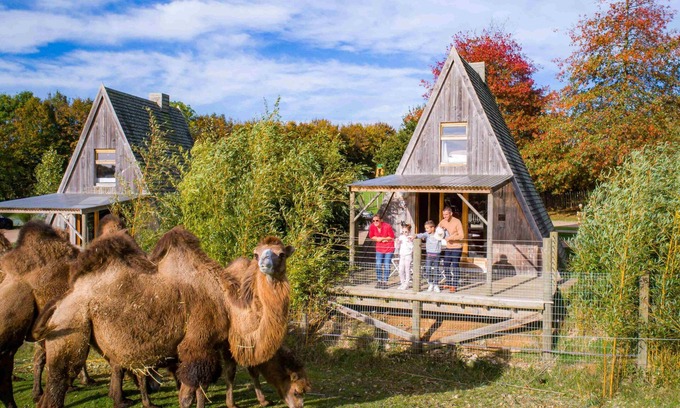 Hermival-les-Vaux Hotel | CERZA SAFARI LODGES