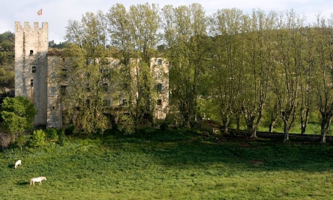 Esparron-de-Verdon Otro | Château D'esparron