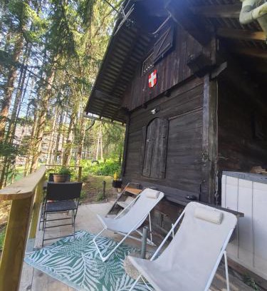 Saint-Martin-sur-la-Chambre Chalet De Esquí | Chalet savoyard "le Sapinet"