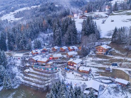 Schonbach Chalet De Esquí | Chalet in Wildkogel near Ski Slopes