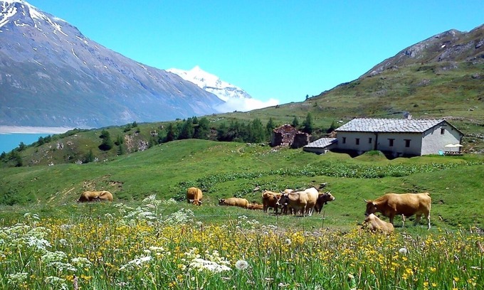 Lanslebourg-Mont-Cenis Chalet De Esquí | Chalet D'alpage à 2000 Mètres D'altitude L'été au lac du Mont-cenis en Savoie