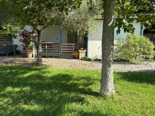 Latour-Bas-Elne Casa | Chalet Proche mer