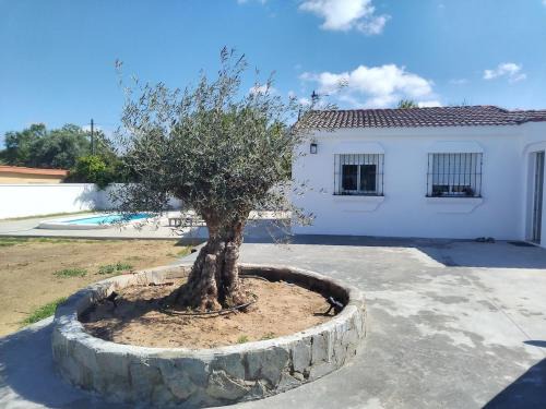Chiclana de la Frontera Casa | Chalet Vacacional ELIÁ -Piscina Privada, BBQ, Wifi
