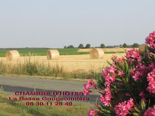 Neuvy-en-Mauges Cama Y Desayuno | Chambre D'hôtes La Basse Gougeonnière