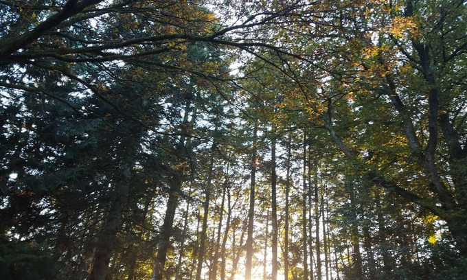 Paimpont Cama Y Desayuno | bed and breakfast N1 in brocéliande
