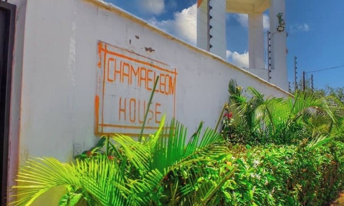 Kwale Casa | chameleon house 2