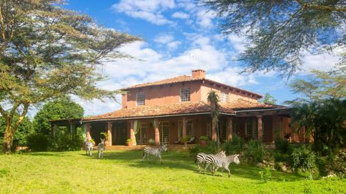Usa Complejo | Chara Africa Hotel