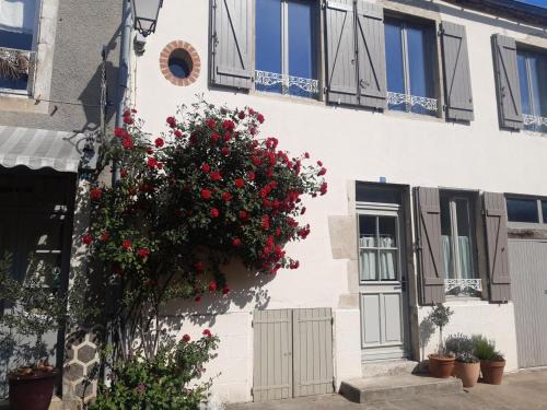 Charroux Casa | Charmante maison ancienne avec jardin clos, animaux admis - FR-1-489-538