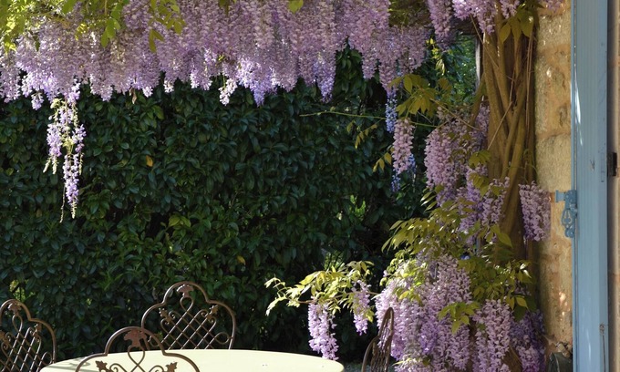 Le Bugue Casa | Hermosa casa de encanto XVIII en el corazón del Perigord negro.