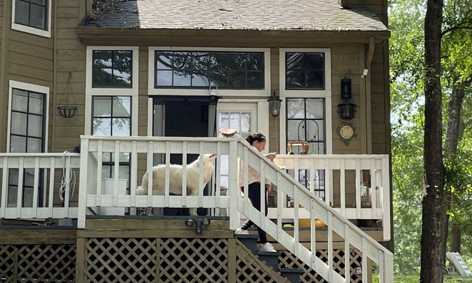 Oakhurst Casa | Charming 3-bedroom country house in wonderful Huntsville with AC.