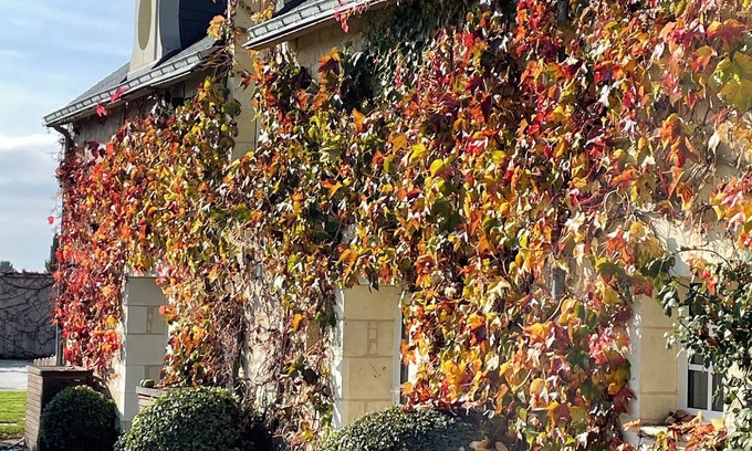 Allonnes Casa | Charming 3-bedroom Family Manor with AC and WiFi in Allonnes
