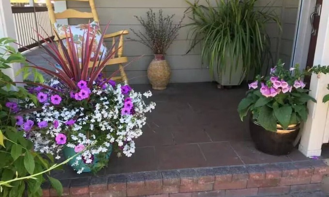 Petaluma Casa | Charming cozy cottage downtown Petaluma