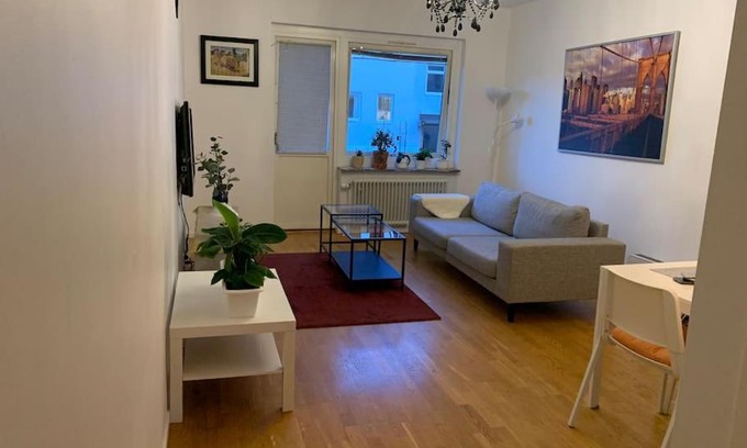 Linkoping Apartamento | Charming Downtown Gem