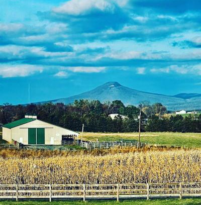 Singers Glen Casa | Charming Farmhouse w King Bed Hot Tub & EV Charger