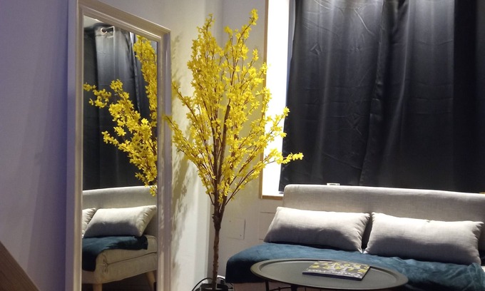 Equeurdreville-Hainneville Apartamento | Charming studio in the heart of a shopping street, 2 steps from NAVAL GROUP