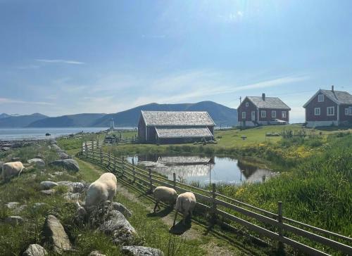 Godøy Casa | Charming House In An Old Barn By The Lighthouse