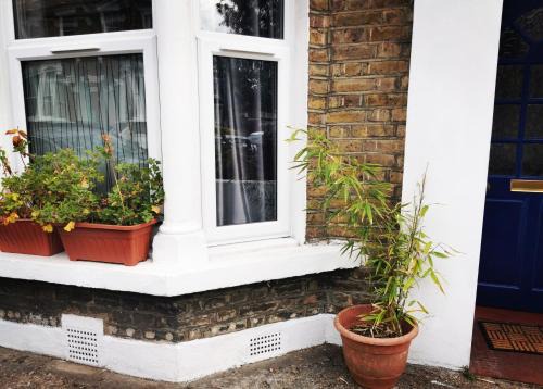 Dulwich Apartamento | Charming London victorian garden apartment Dulwich