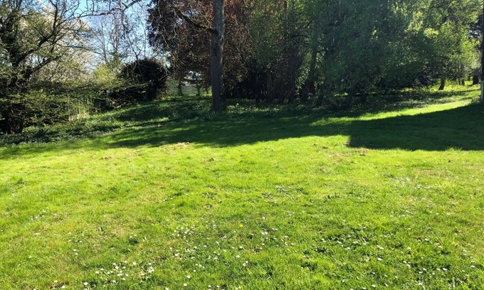 Beaulieu-sur-Loire Casa | Alquiler con encanto en una mansión con parque y madera de 1 ha