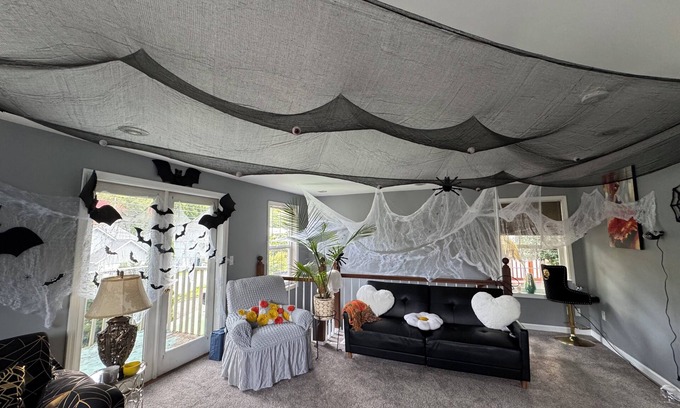 High Point Casa | Charming room in a house with WiFi in beautiful West Seattle